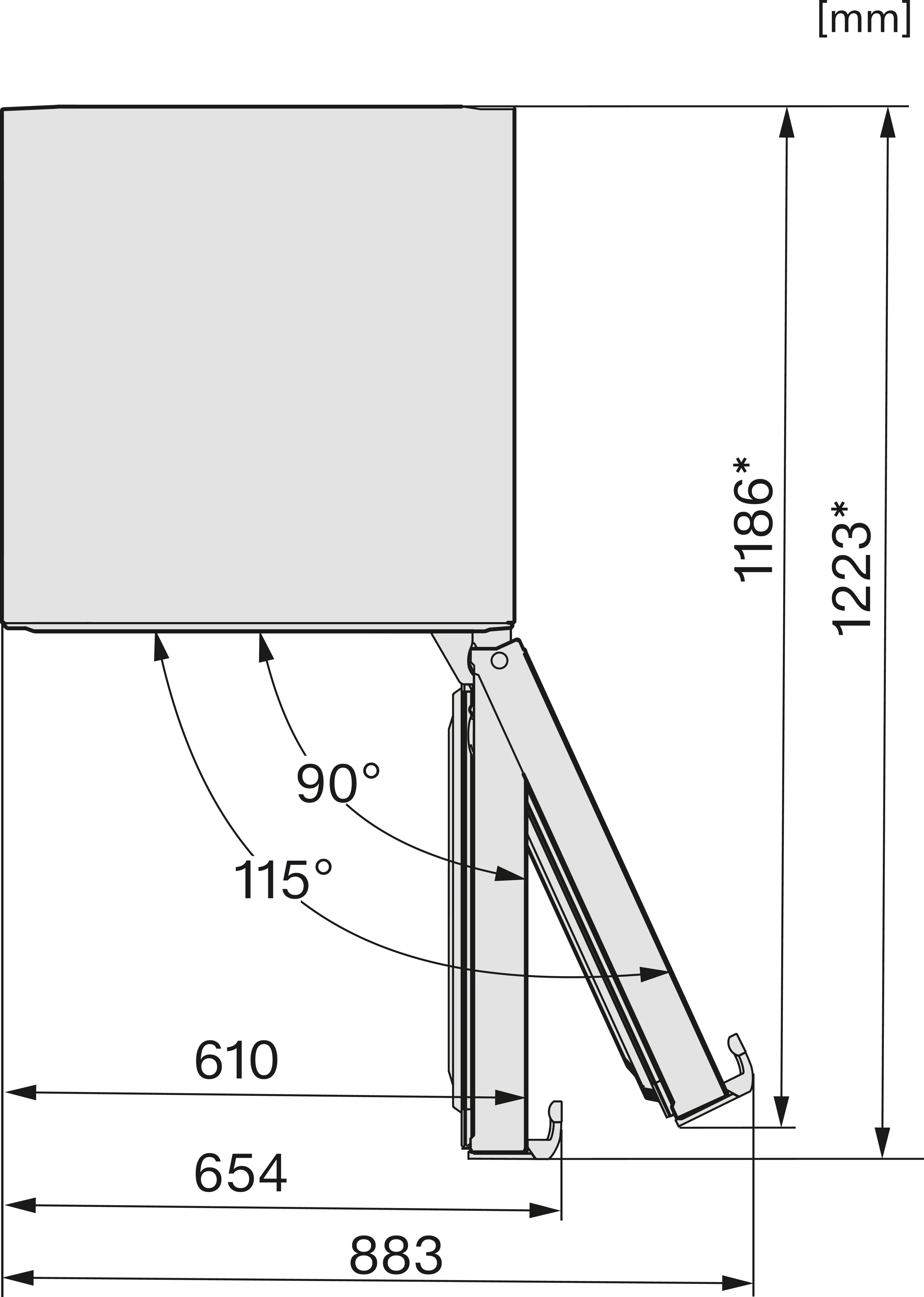 20000186366